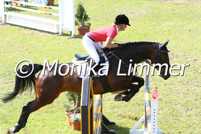 204M4409_Con Calanda_Springpferde_L.JPG